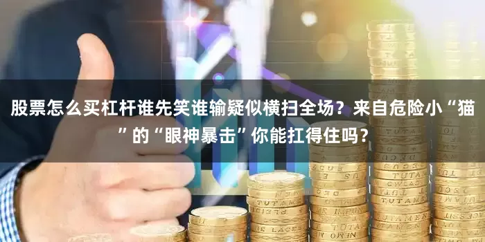 股票怎么买杠杆谁先笑谁输疑似横扫全场？来自危险小“猫”的“眼神暴击”你能扛得住吗？